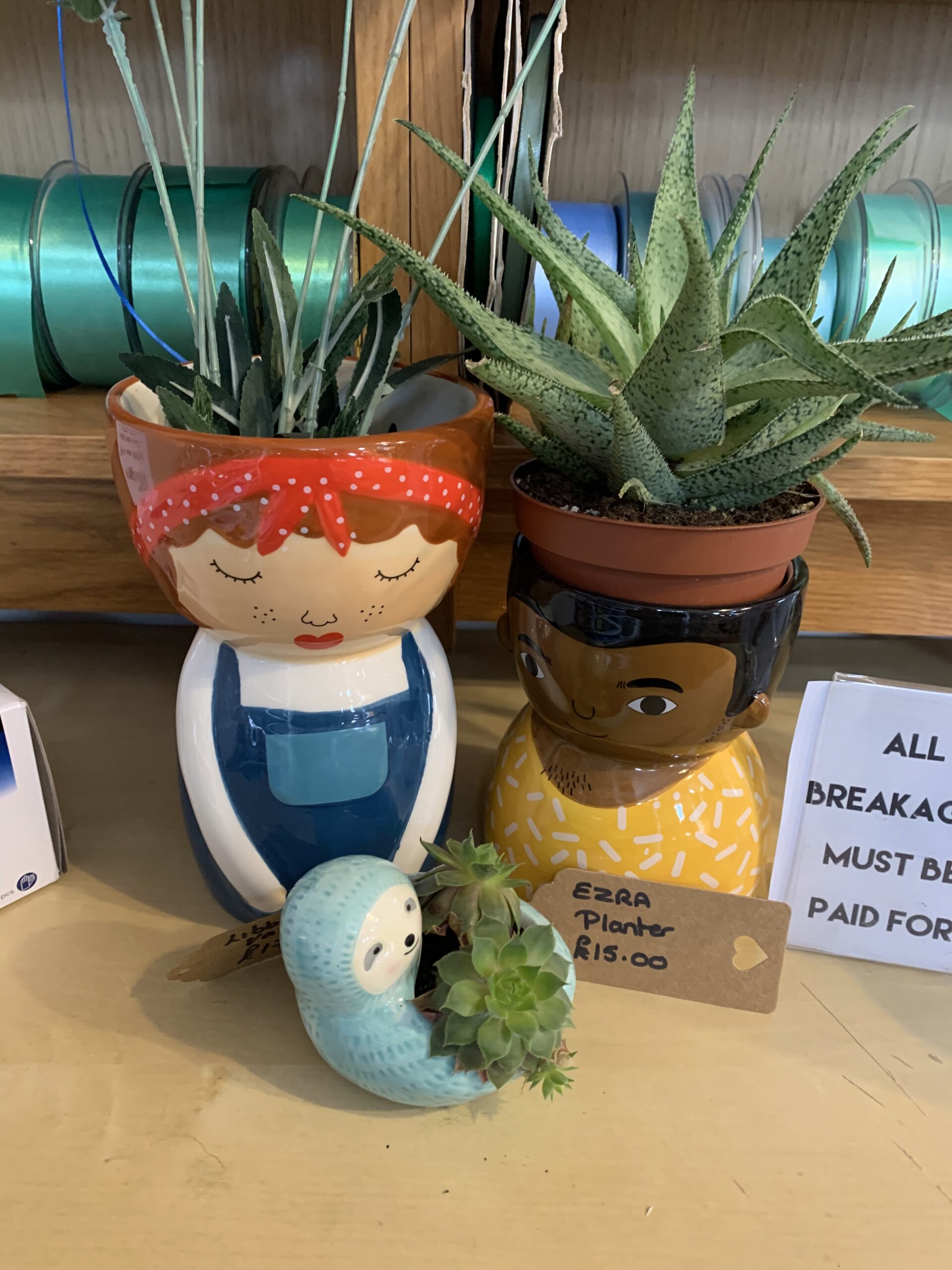 Sass and Belle Planters